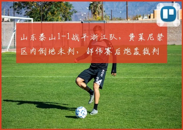 山东泰山1-1战平浙江队，费莱尼禁区内倒地未判，郝伟赛后炮轰裁判组